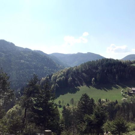 Waldblick Landhaus B&B Schwarzenbach an der Pielach Buitenkant foto