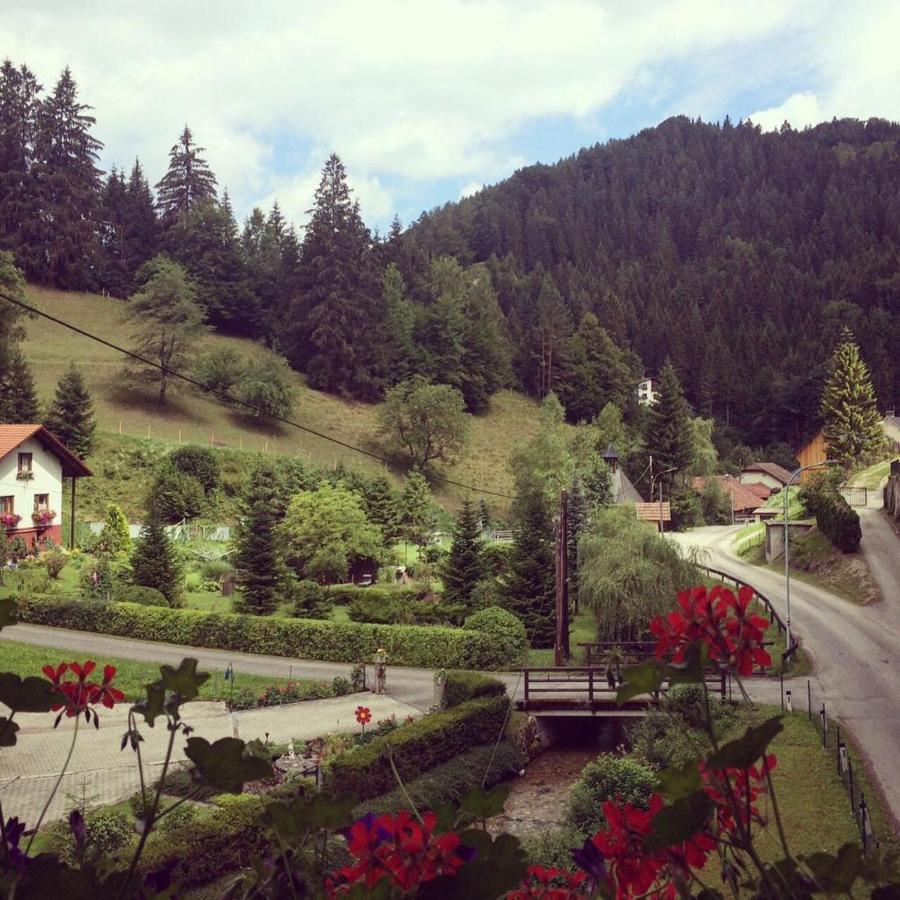 Waldblick Landhaus B&B Schwarzenbach an der Pielach Buitenkant foto
