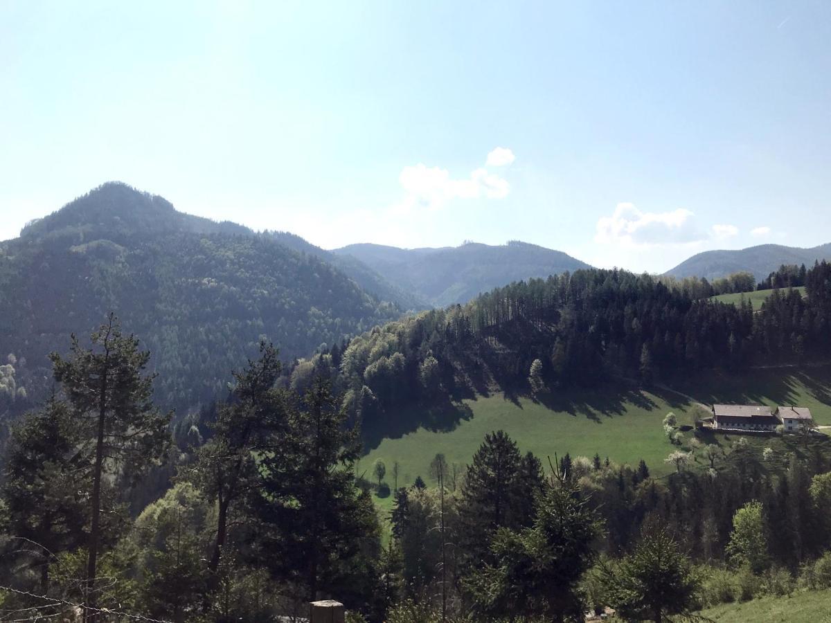 Waldblick Landhaus B&B Schwarzenbach an der Pielach Buitenkant foto
