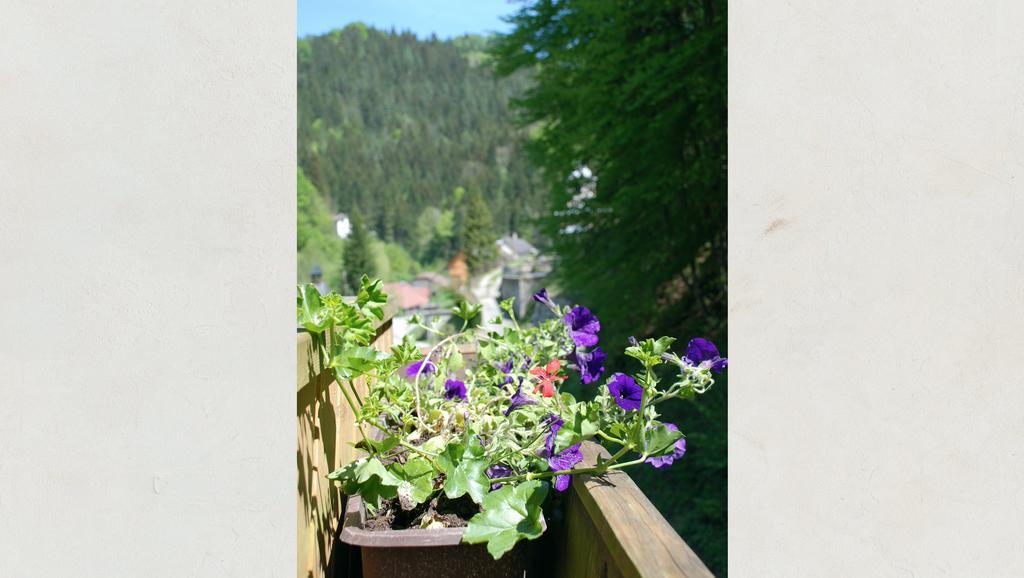 Waldblick Landhaus B&B Schwarzenbach an der Pielach Buitenkant foto