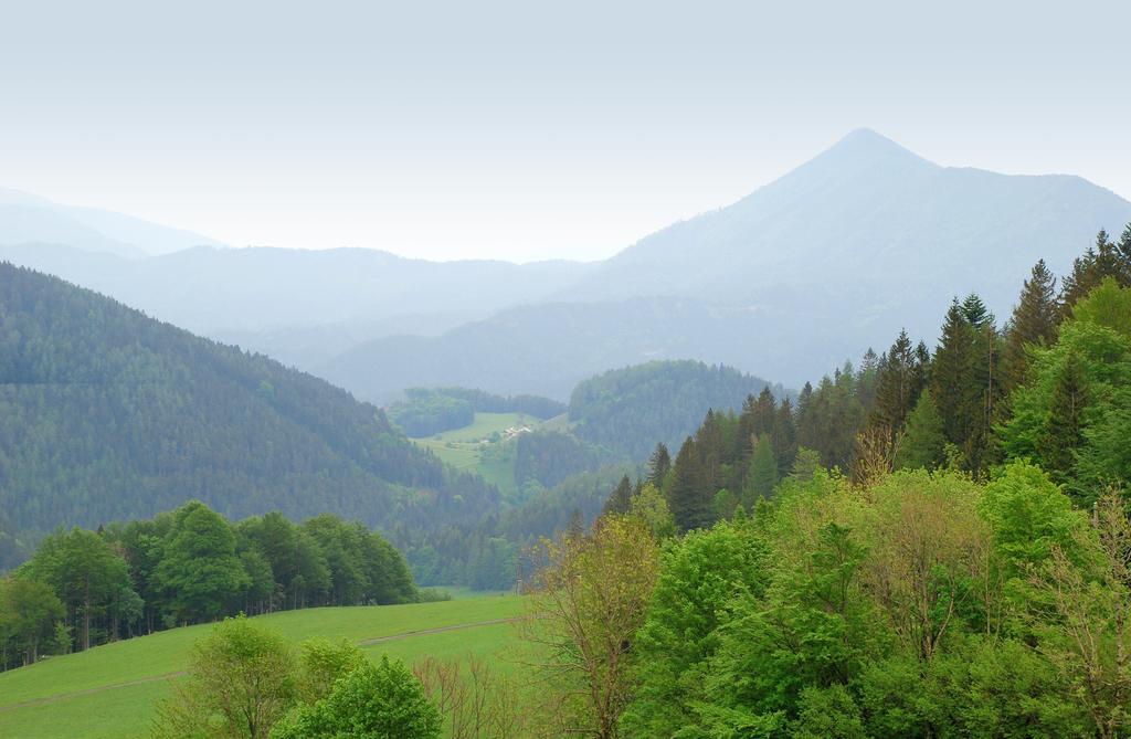 Waldblick Landhaus B&B Schwarzenbach an der Pielach Buitenkant foto